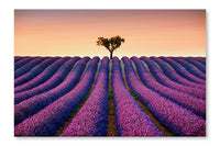 Lavender  Lonely Tree Uphill on Sunset 16x24 Wall Art Fabric Panel Without Frame