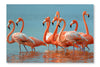 Flamingos 24x36 Wall Art Fabric Panel Without Frame