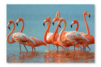 Flamingos 24x36 Wall Art Fabric Panel Without Frame