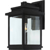 Freemont 1-Light Black Outdoor Wall Light II