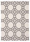 Achsa Ivory Area Rug - 5'3