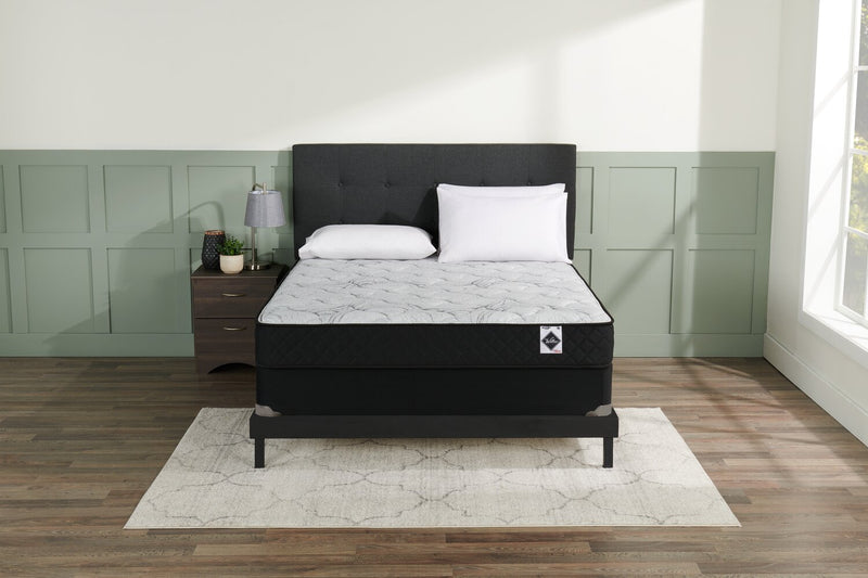 springwall dreams queen mattress in a box review