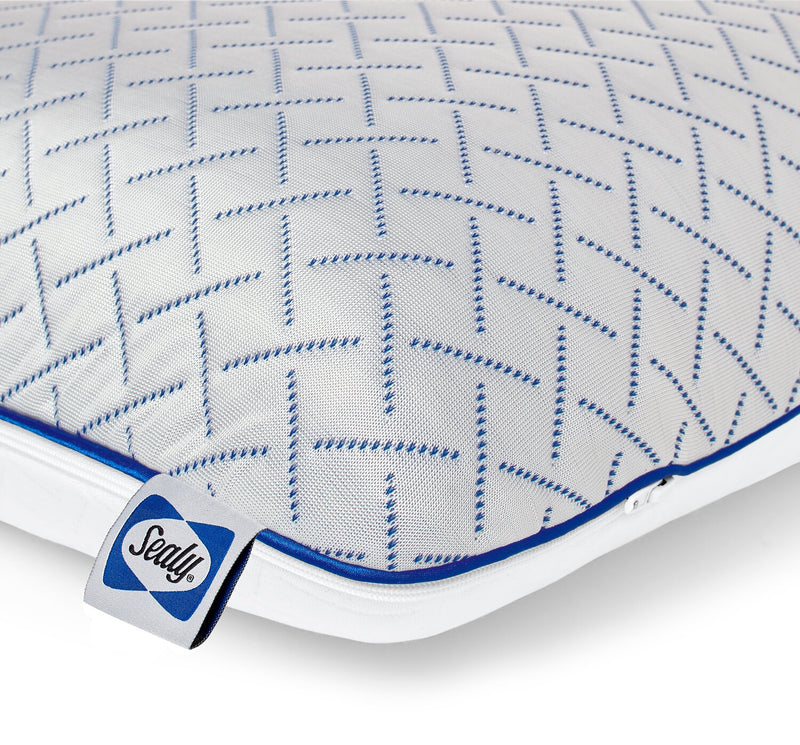 Sealy® Cool Touch Memory Foam Pillow | The Brick