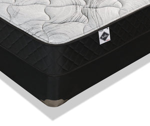 Springwall Autumn Tight Top Twin Mattress-in-a-Box Set